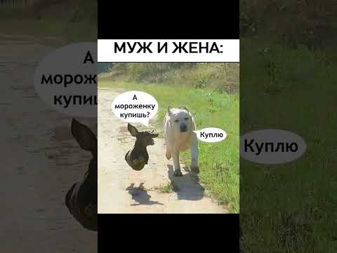 Муж и жена