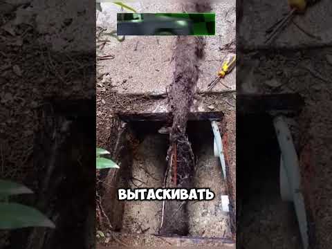 Не стоило лезть ТУДА😰🤯💥