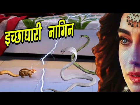 इच्छाधारी नागों और इच्छाधारी गिलहरी में लड़ाई | Ichhadhari Naagin | Nagin Show 2024  @kivitv616