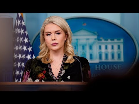 Karoline Leavitt declines to comment on reports of US-made landmines spotted in Iran