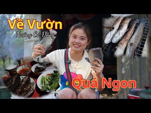 Về Vườn Nướng Cá Đồng - Quá Ngon