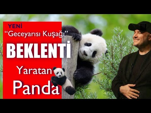 BEKLENTİ YARATAN PANDALAR! #adilyıldırım #mentor #farkındalık 