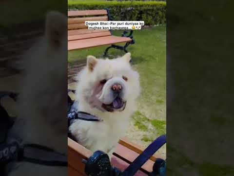 🐶😂❤️🧿💞🤭