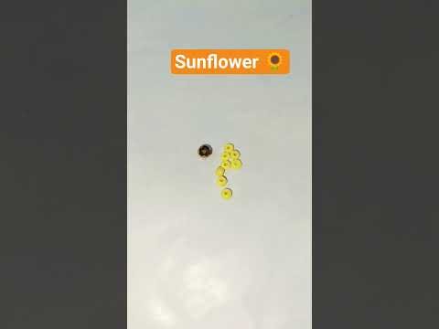Making sunflower bracelet 🌻#bracelet #shorts #jewelrymaking#braceletmaking #bracelets #noshiofficial