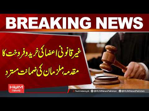 Court Rejects Bail in Illegal Organ Trading Case | Breaking News | Hum News | Pakistan