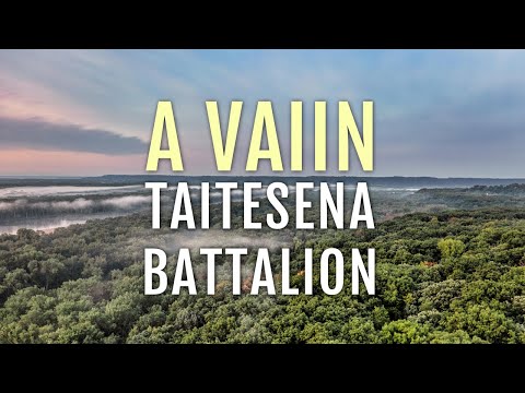 Taitesena Battalion | A VAIIN