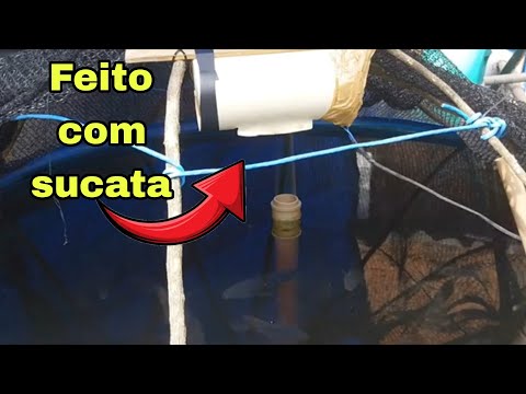 Alimentador automático