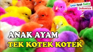 LAGU ANAK AYAM TEK KOTEK KOTEK - Lagu Anak Indonesia