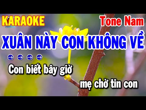 Karaoke Xuân Này Con Không Về Tone Nam Nhạc Xuân Dễ Hát | Thanh Hải