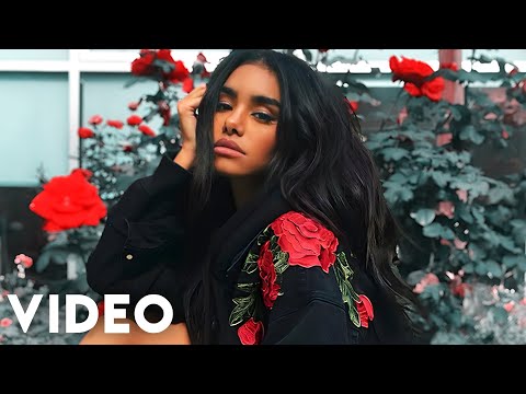 Sevdaliza - Alibi ft. Pabllo Vittar & Yseult (Dj Dark Remix)