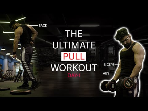 Pull DAY workout series DAY-2💪🏻 || pt(personal training ke Bina) workout kaise kare??🤔