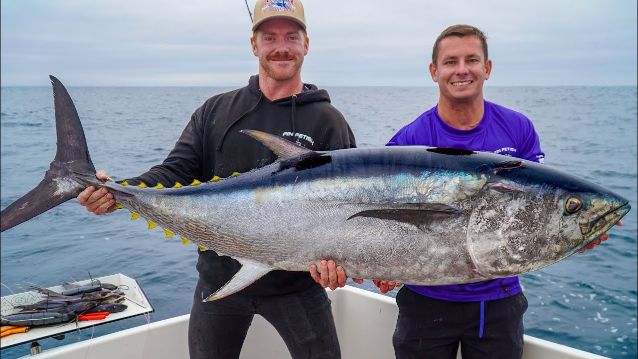 GIANT Pacific BLUEFIN TUNA! Catch and Cook