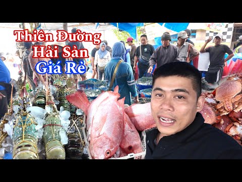 Chợ Đầu Mối Hải Sản Lớn Nhất Khu Vực Kuta Bali