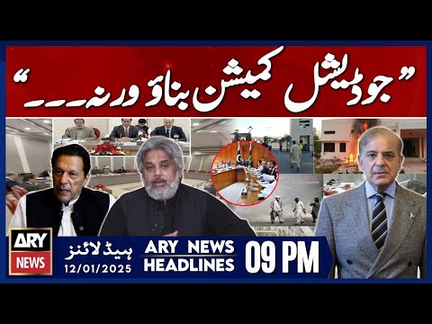 Hamid Raza's Huge Statement - ARY News 9 PM Headlines | 12th JAN 2025