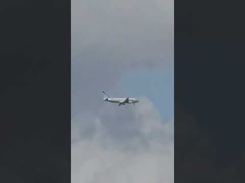 I took a picture of the airplane