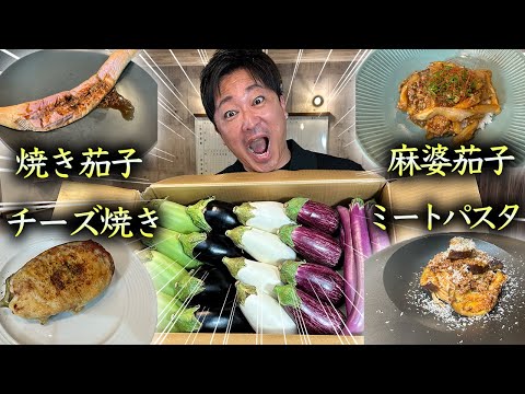 【10品】大量に届いたナスを使ってエンドレス朝ごはん！？