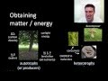 Energy and Matter in Organisms