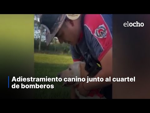 ADIESTRAMIENTO CANINO JUNTO AL CUARTEL DE BOMBEROS