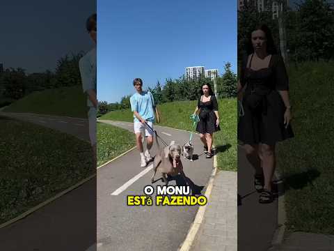 Um passeio no parque com Sonu e Monu #shortvideo