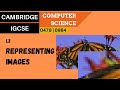 Understanding Image Representation in Computer Systems