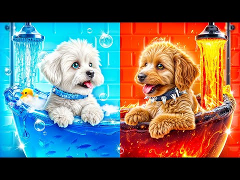 Строим секретную комнату для животных! Огонь vs Вода