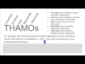 Exploring Conjunctive Adverbs in THAMOs
