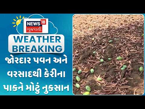 Panchmahal Mango Crop Damage | જોરદાર પવન અને વરસાદથી  કેરીના પાકને મોટું નુકસાન | Gujarati Samachar