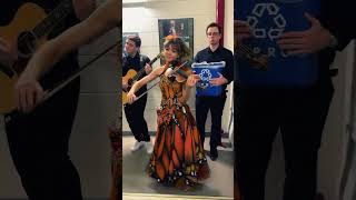 Lindsey Stirling coming to mexico soon #shorts