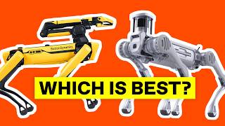 Robot Dog Obstacle Course
