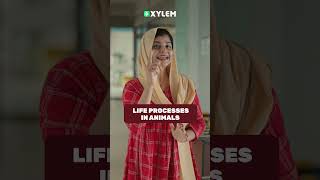 Life Processes in Animals : Full Chapter പഠിക്കാം !! | Xylem Class 7 CBSE