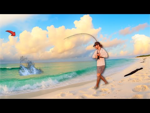 These Fish SCARE Me! *Big*