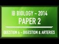 Human Body Systems and Functions