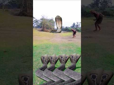 4#snake ayata he#haravhara#shambhu