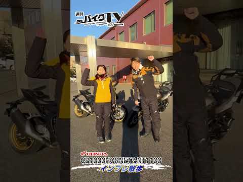 【週刊バイクTV】『CB1000HORNET＆NT1100インプレ散歩♪』チバテレでの放送は2/19(水)22:30～【#Shorts】