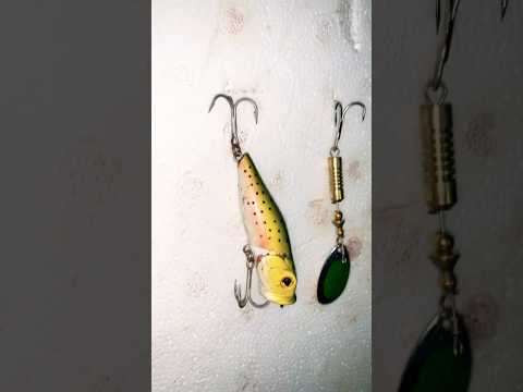 معدات الصيد بالقصبة #fishing #viral #صيد_السمك #fish #ميراللفت #viralvideo #ocean #beach #spinning