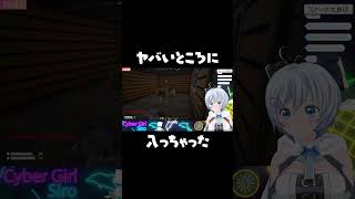 「見てはいけない闇」を垣間見た電脳少女シロちゃんの反応w【電脳少女シロ/DUCKSIDE/アップランド/どっとライブ/.LIVE/ぶいぱい/