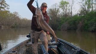 HOW TO CATCH CATFISH -NOODLES AND LIMBLINES