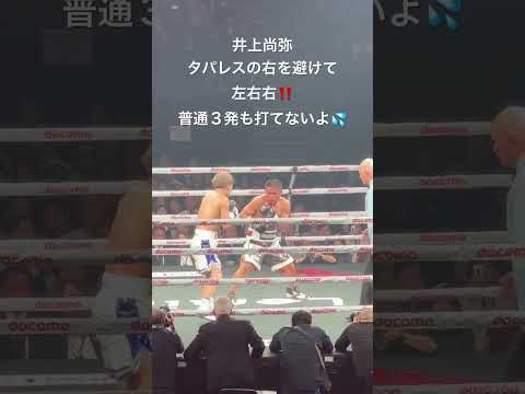 井上尚弥 タパレスの右を避けて 左右右‼️普通３発も打てないよ‼️