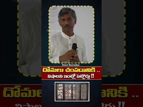 దోమలు చంపడానికి ..విషాలని ఇంట్లో పెట్టొద్దు !! #yt #shorts #telugu #remadies #nature #mosquito