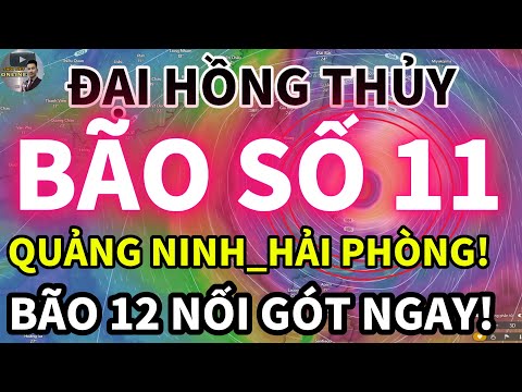 CHẤN ĐỘNG! Bão Matmo số 11 chuẩn bị đổ bộ – Việt Nam nguy cơ hứng bão kép khi bão số 12 hình thành!