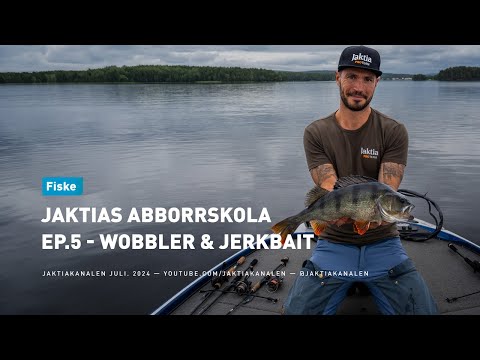 Jaktias abborrskola EP.5 - Wobbler & jerkbait