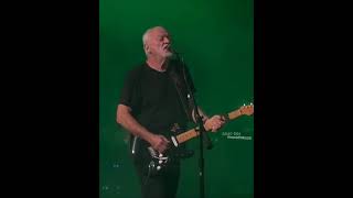 Sorrow - David Gilmour (Madison Square Garden 2024) #pinkfloyd  #davidgilmour