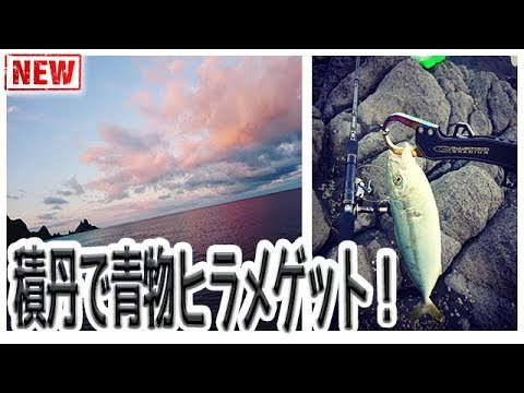 【ロックフィッシュ 海釣り】積丹ショアスロー＆青物ゲット 秋シーズン開幕 北海道 fishing in japan【釣りLife】