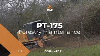 Video - FAE PT-175 - Tracked carrier with forestry mulcher - The best solution in light/medium application