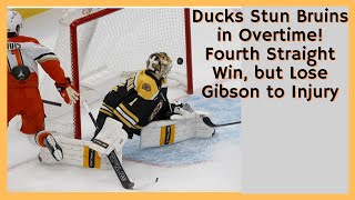 Ducks Stun Bruins in Overtime! Fourth Straight Win, but Lose Gibson to Injury