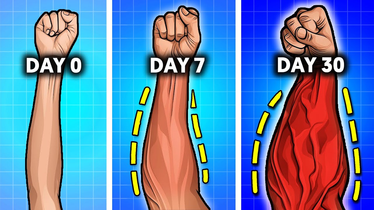 Top Exercises For Thick & Veiny Forearms