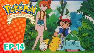 Pokémon: Adventures in the Orange Islands एपिसोड 14 | Pokémon Asia Official (Hindi)
