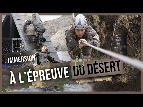 CECAD, la voie de l'inconscient