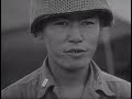 Japanese American Soldiers in WWII