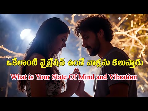 Raise Your Vibration: Attract Success, Energy & the Right People